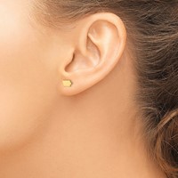 Sterling Silver Gold-plated Iowa State Earrings view 3
