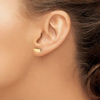 Sterling Silver Gold-plated Nebraska State Earrings view 3