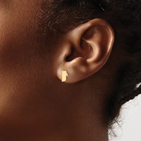14K Yellow Gold Rhode Island State Earrings view 3