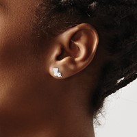 14K White Gold Louisiana State Earrings view 3