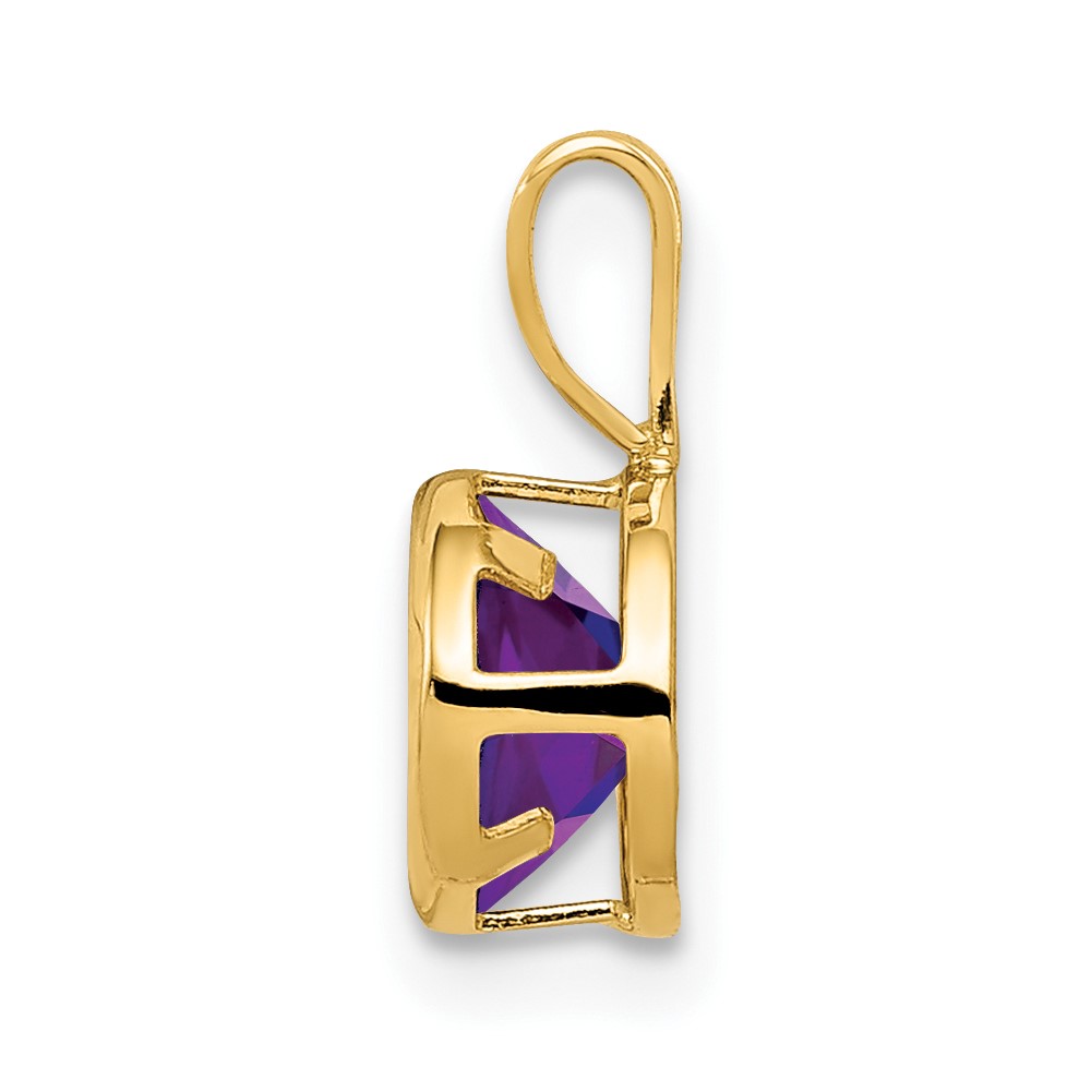 14k 6mm Amethyst bezel pendant (XP301AM)