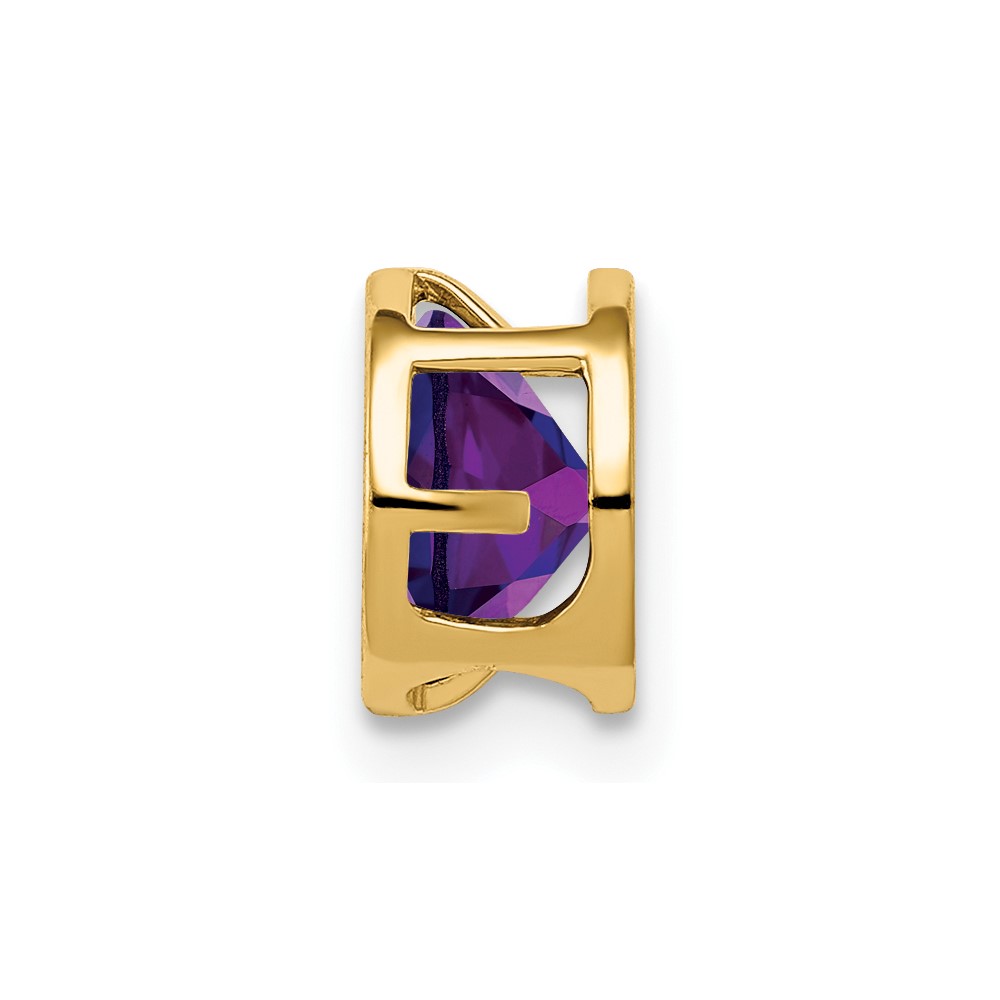 14k 6mm Amethyst bezel pendant (XP321AM)
