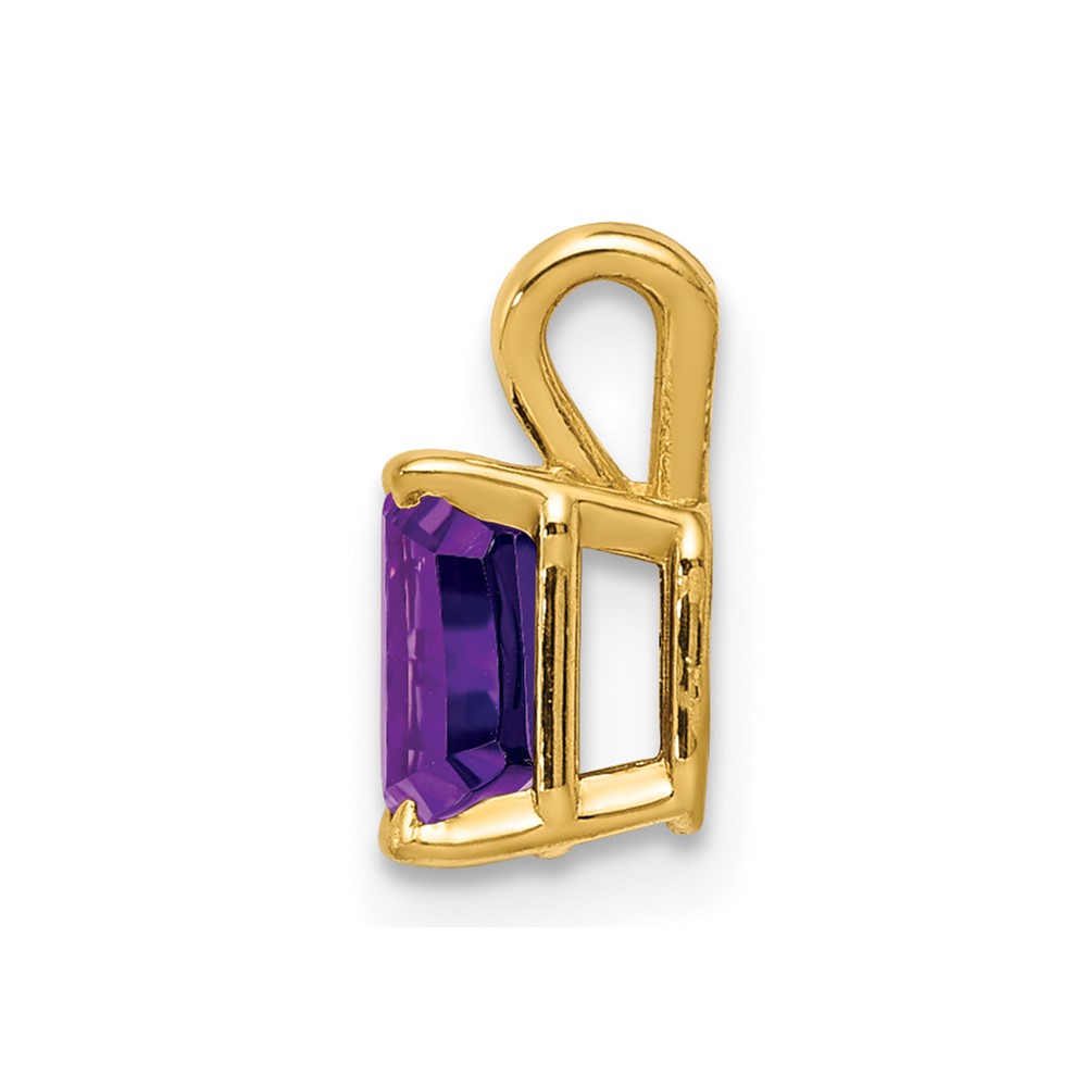 14k Yellow Gold Amethyst Pendant (XP419AM)