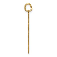 14K Yellow Gold Laser Designed Ichthus Cross Charm view 2