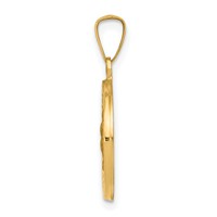 14K Yellow Gold Polished and Satin Hollow Our Lady of Guadalupe Medal Round Pendant view 2