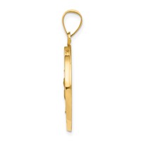 14K Yellow Gold Polished and Satin Hollow Our Lady of Guadalupe Medal Round Pendant view 2