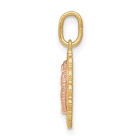 14K Two-tone Small Our Lady of Guadalupe Scalloped Edge Oval Pendant view 2