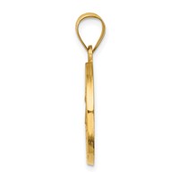 14K Yellow Gold Polished and Satin Hollow Caridad Del Cobre Medal Round Pendant view 2