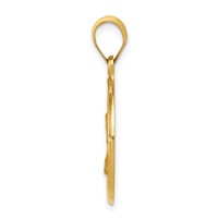 14K Yellow Gold Polished and Satin Hollow St. Charles Medal Pendant view 2