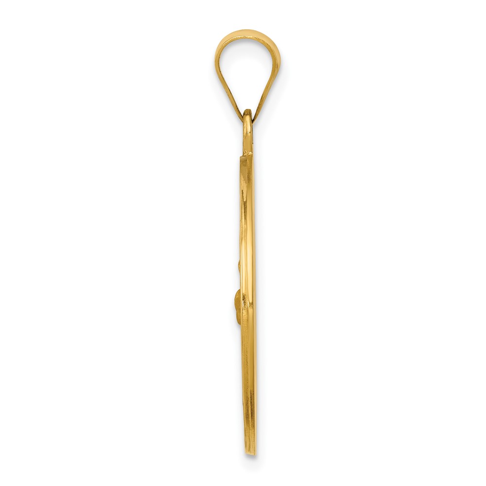 14k Polished and Satin St Francis Medal Hollow Pendant (XR1323)