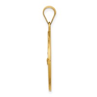 14K Yellow Gold Polished and Satin Hollow St Francis Medal Round Pendant view 2