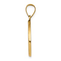 14K Yellow Gold Polished and Satin Hollow St John the Baptist Medal Round Pendant view 2