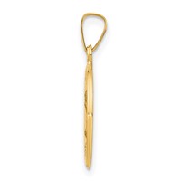 14K Yellow Gold Polished and Satin Hollow St Mark Medal Round Pendant view 2