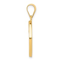 14K Yellow Gold Polished and Satin Hollow St Matthew Medal Round Pendant view 2