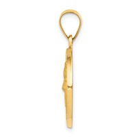 14K Yellow Gold Polished and Satin Hollow St Patrick Medal Round Pendant view 2