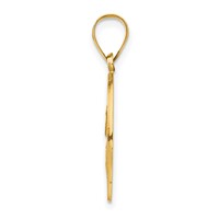 14K Yellow Gold Polished and Satin Hollow St Paul Medal Round Pendant view 2