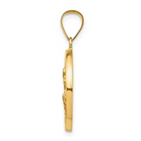 14K Yellow Gold Polished and Satin Hollow St Peregrine Medal Round Pendant view 2