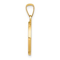 14K Yellow Gold Polished and Satin Hollow First Holy Communion Medal Round Pendant view 2