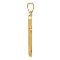 14K Yellow Gold Textured and Polished Passion Cross Pendant view 2