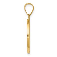 14K Yellow Gold Polished Satin Hollow Spanish Divino Nino Round Medal Pendant view 2