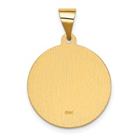 14K Yellow Gold Polished and Satin Hollow Spanish Our Lady of Guadalupe Round Medal Pendant view 3