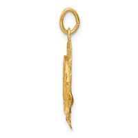 14K Yellow Gold Polished and Satin Hollow Spanish Guardian Angel Medal Round Pendant view 2