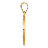 14K Yellow Gold Polished and Satin Hollow Spanish San Jose Medal Round Pendant view 2