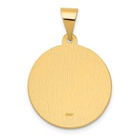 14K Yellow Gold Polished and Satin Hollow Spanish San Jose Medal Round Pendant view 3