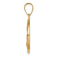 14K Yellow Gold Polished and Satin Hollow St. Kateri Medal Round Pendant view 2
