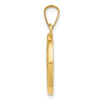 14K Yellow Gold Polished and Satin Hollow Spanish Mi Primera Comunion Medal Round Pendant view 2