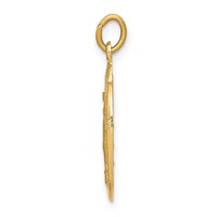 14K Yellow Gold Polished and Satin Solid Miraculous Medal Oval Pendant view 2