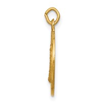 14K Yellow Gold Polished and Satin Solid Our Lady of Loreto Medal Round Charm view 2