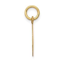 14K Yellow Gold Polished and Satin Solid Holy Communion Diamond-cut Edge Round Disc Charm view 2