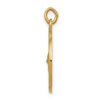 14K Yellow Gold Polished and Satin Solid Saint Gerard Medal Round Charm view 2