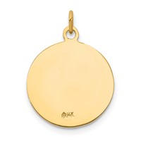 14K Yellow Gold Polished and Satin Solid Saint Andrew Medal Charm view 4