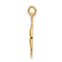 14K Yellow Gold Polished and Satin Solid Saint Peter Medal Round Charm view 2