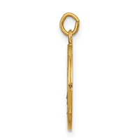 14K Polished and Satin Solid Saint Elizabeth Seton Medal Round Charm view 2