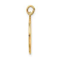 14K Yellow Gold Polished and Satin Solid Saint Roch Medal Round Charm view 2