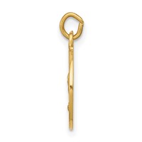 14K Yellow Gold Polished and Satin Solid Saint Andrew Medal Charm view 2