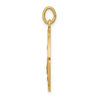 14K Yellow Gold Polished and Satin Solid Saint Elizabeth Seton Medal Round Pendant view 2