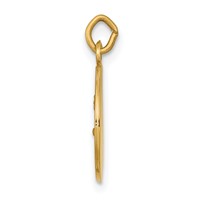 14K Yellow Gold Polished and Satin Solid Saint John Medal Round Charm view 2