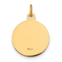 14K Yellow Gold Polished and Satin Solid Saint John Medal Round Charm view 4