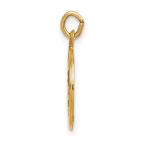 14K Yellow Gold Polished and Satin Solid Saint Mark Medal Round Charm view 2