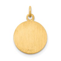 14K Yellow Gold Polished and Satin Solid Saint Mark Medal Round Charm view 4