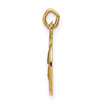 14K Yellow Gold Polished and Satin Solid Saint Paul Medal Round Charm view 2