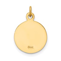 14K Yellow Gold Polished and Satin Solid Saint Paul Medal Round Charm view 4