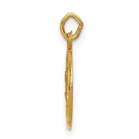 14K Yellow Gold Polished and Satin Solid Saint Peter Medal Round Charm view 2