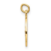 14K Yellow Gold Polished and Satin Solid Saint Roch Medal Round Charm view 2