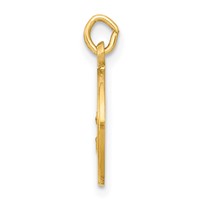 14K Yellow Gold Polished and Satin Solid Our Lady of the Assumption Medal Round Charm view 2