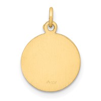 14K Yellow Gold Polished and Satin Solid Our Lady of the Assumption Medal Round Charm view 4